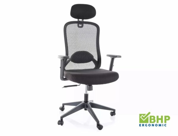 Sedia da ufficio ergonomica Q-050